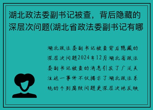 湖北政法委副书记被查，背后隐藏的深层次问题(湖北省政法委副书记有哪几位)